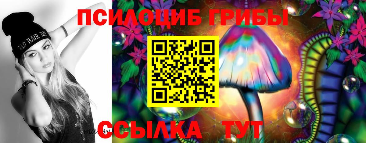 Псилоцибиновые грибы MAGIC MUSHROOMS  Псилоцибиновые грибы Cubensis  Звенигород  Вход с VPN 